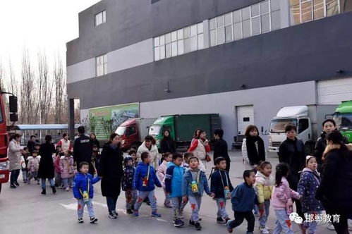 寓教于行 幼兒社會實踐活動的教育價值與實施建議